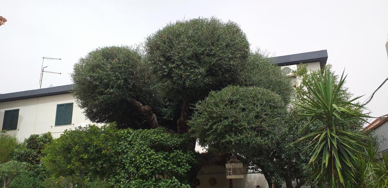 Il Vecchio Ginepro Panzió Capoterra Kültér fotó